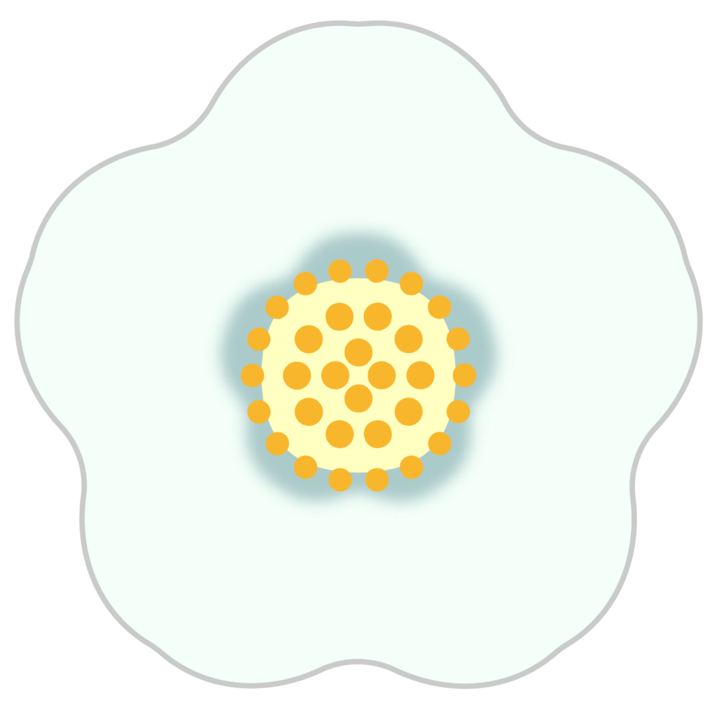 商用フリー・無料イラスト_白い椿（つばき）の花のイラスト_tsubaki020