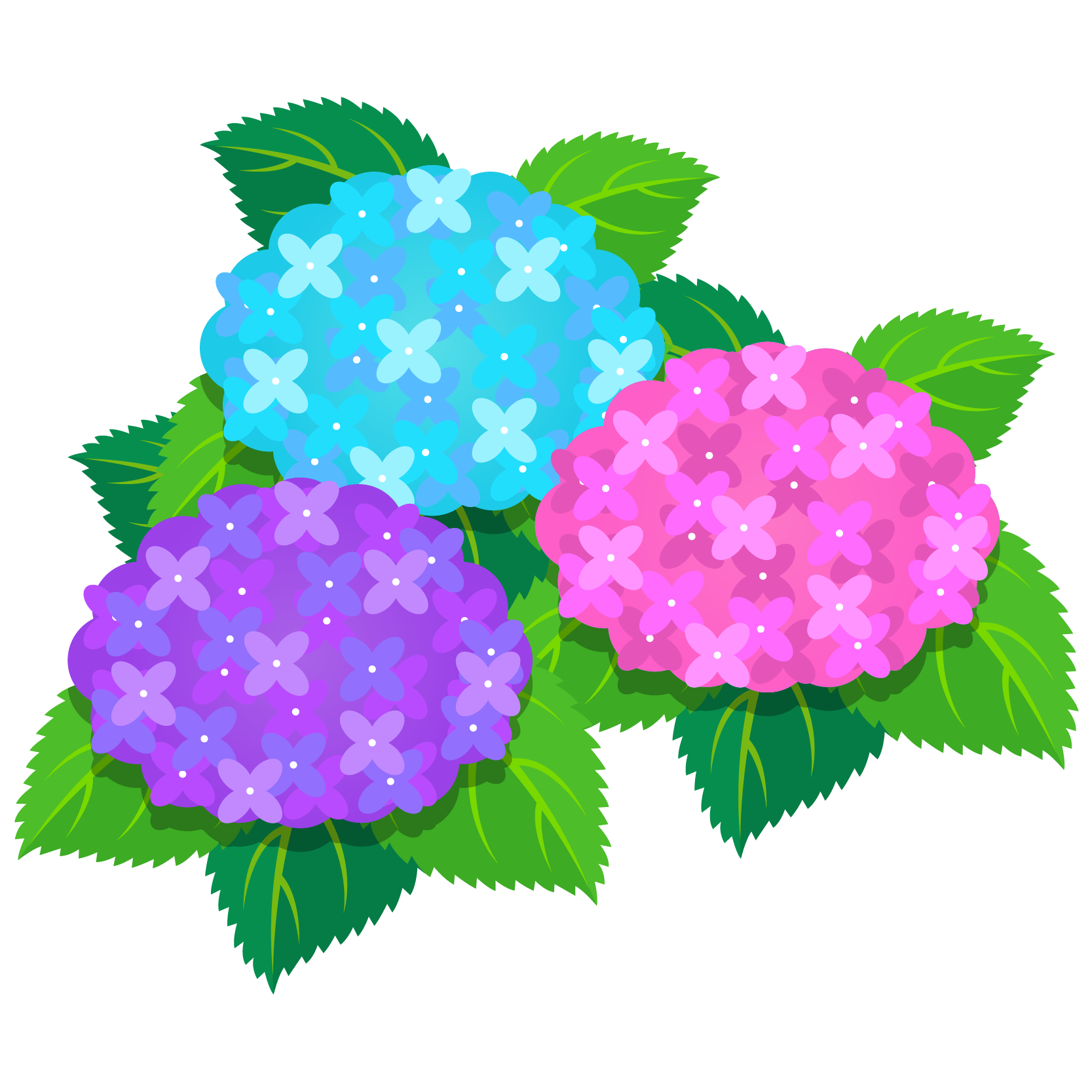 商用フリー 無料イラスト あじさいの花 紫陽花 紫 ピンク 水色 Ajisai07 商用ok フリー素材集 ナイスなイラスト