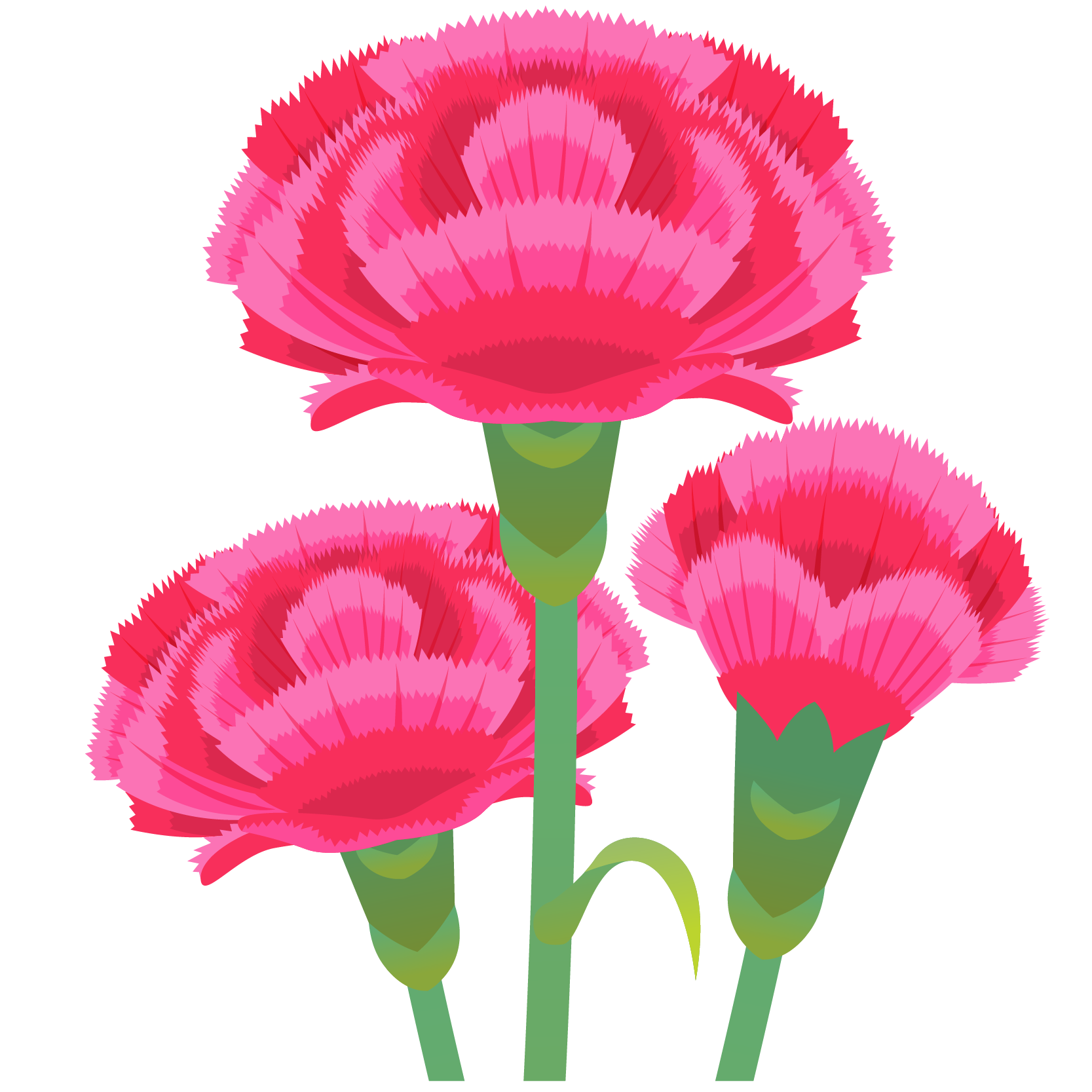 商用フリー 無料イラスト 5月母の日 カーネーションの花 Mothersday013 商用ok フリー素材集 ナイスなイラスト