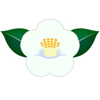 商用フリー・無料イラスト_白い椿（つばき）の花のイラスト_tsubaki012