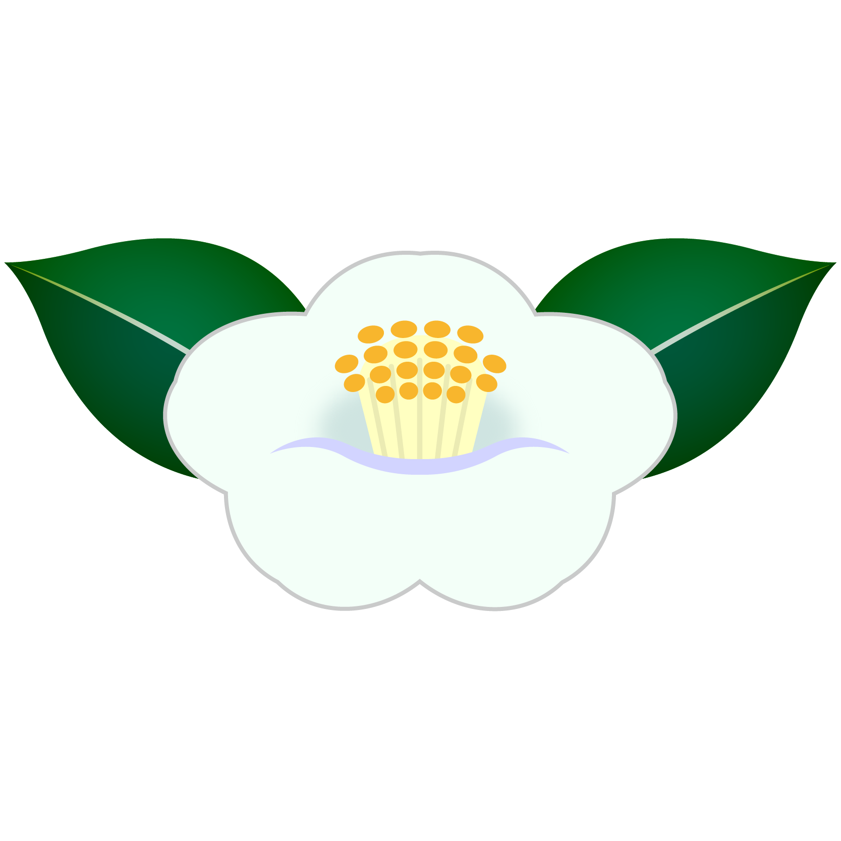 商用フリー 無料イラスト 白い椿 つばき の花のイラスト Tsubaki014 商用ok フリー素材集 ナイスなイラスト