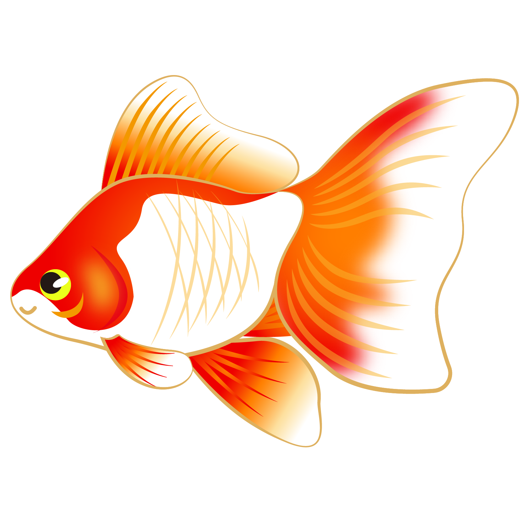 商用フリー 無料イラスト 金魚のイラスト 琉金 リュウキン Kingyo Goldfish002 商用ok フリー素材集 ナイスなイラスト