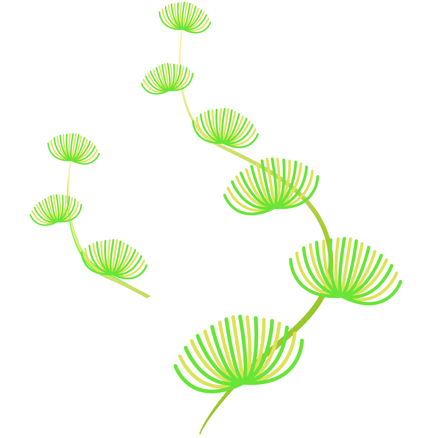 水草海底植物设计元素图片_ID:411191725-Veer图库