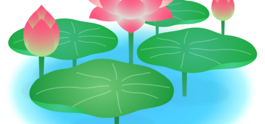 商用フリー・無料イラスト_ピンクの蓮の花のイラスト_Lotus Illustration001
