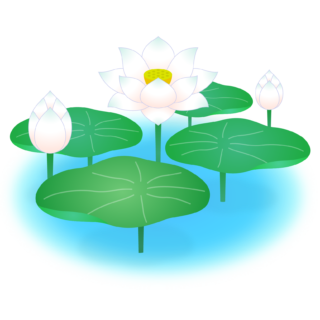 商用フリー・無料イラスト_白い蓮の花のイラスト_Lotus Illustration002
