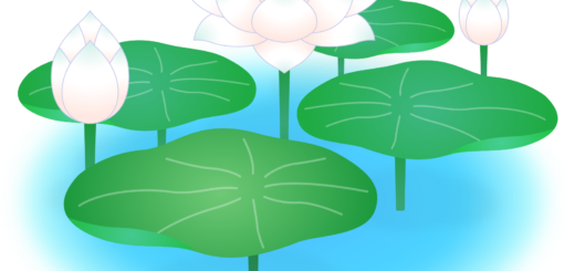 商用フリー・無料イラスト_白い蓮の花のイラスト_Lotus Illustration002