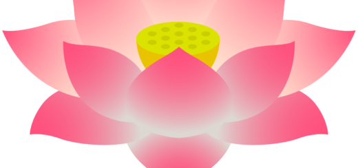 商用フリー・無料イラスト_ピンクの蓮の花のイラスト_Lotus Illustration003