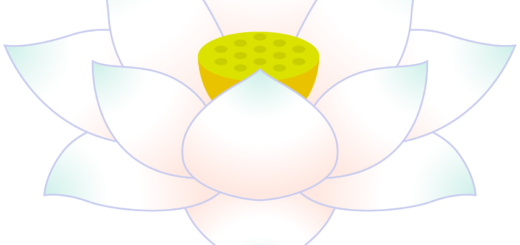 商用フリー・無料イラスト_白い蓮の花のイラスト_Lotus Illustration004