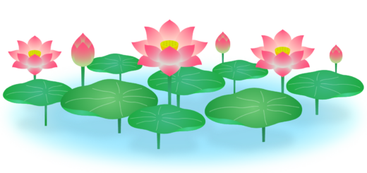 商用フリー・無料イラスト_ピンクの蓮の花のイラスト_Lotus Illustration005