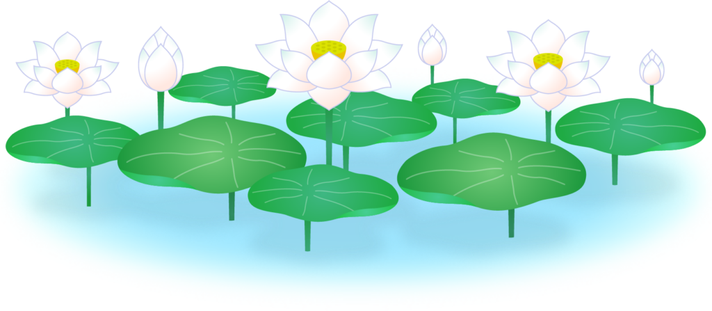 商用フリー・無料イラスト_白い蓮の花のイラスト_Lotus Illustration006