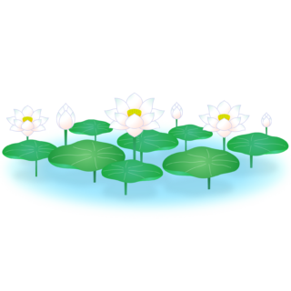 商用フリー・無料イラスト_白い蓮の花のイラスト_Lotus Illustration006