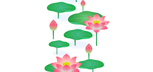 商用フリー・無料イラスト_ピンクの蓮の花のイラスト_Lotus Illustration007