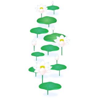 商用フリー・無料イラスト_白い蓮の花のイラスト_Lotus Illustration008