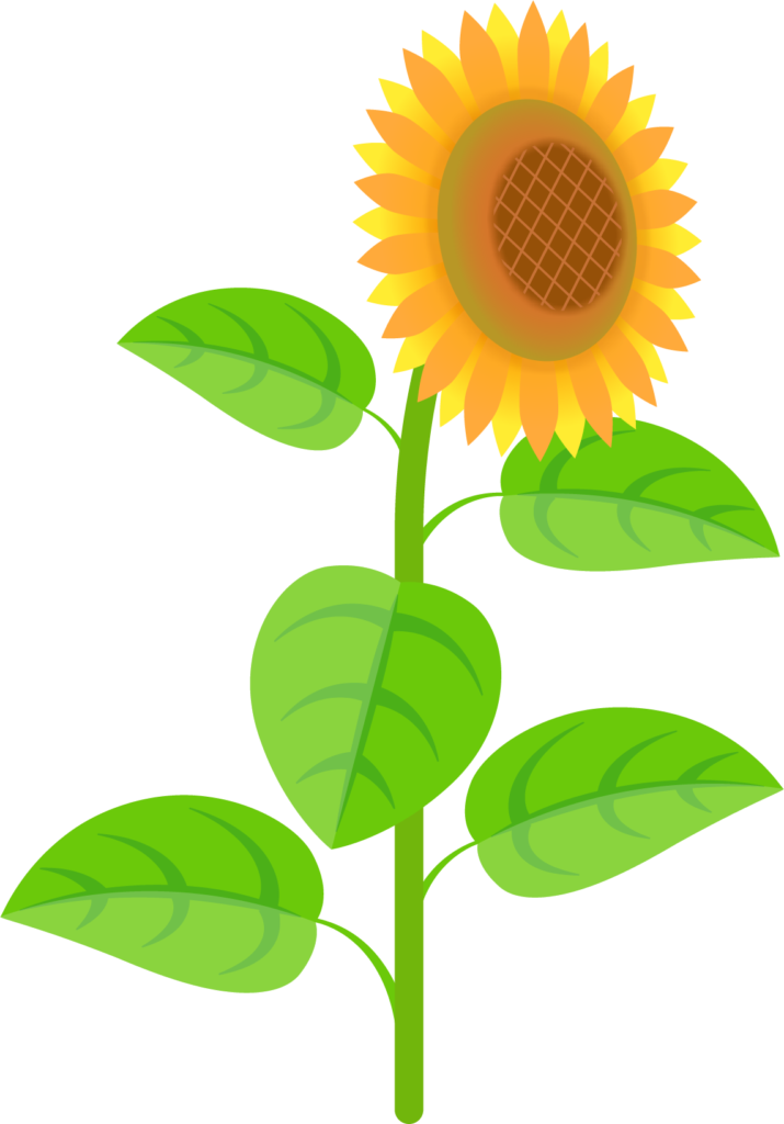 商用フリー 無料イラスト ひまわり 向日葵 のイラスト Sunflowerillustration003 商用ok フリー素材集 ナイスなイラスト