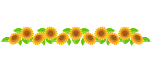 商用フリー・無料イラスト_ひまわり（向日葵）のイラスト_SunflowerIllustration005