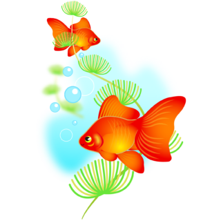商用フリー・無料イラスト_赤い金魚と水草のイラスト_kingyo_Goldfish006