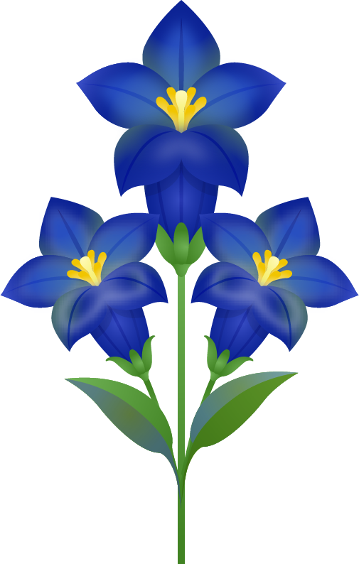 【商用フリー・無料イラスト】秋の綺麗な花リンドウ（竜胆・りんどう）のかわいいイラスト