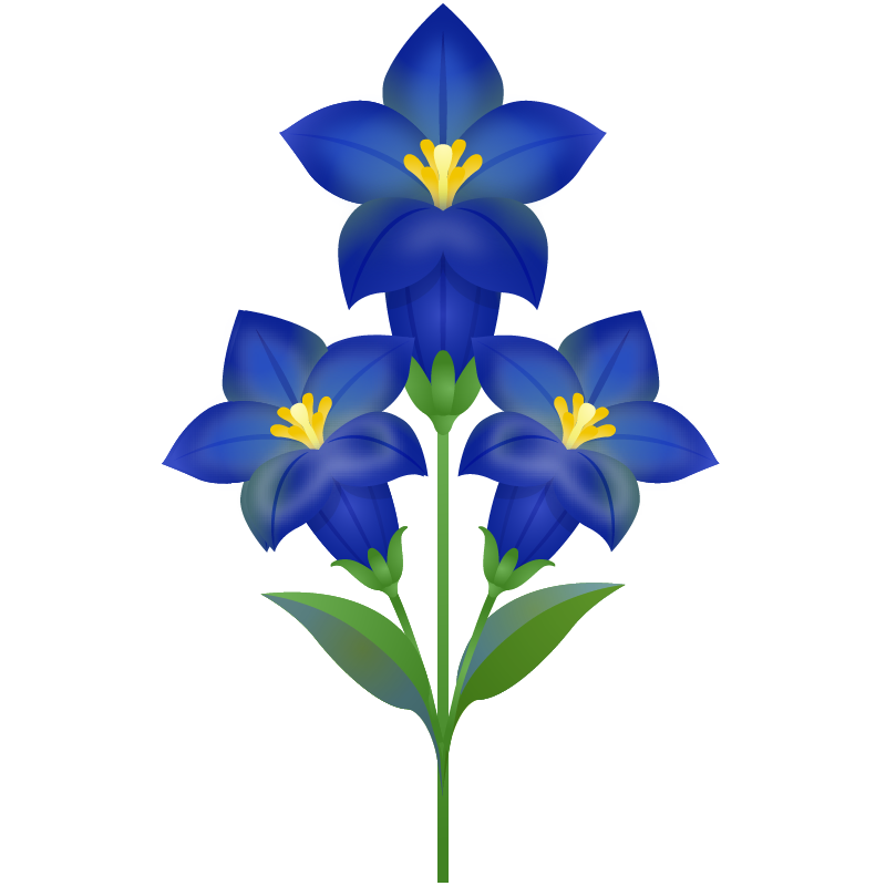 【商用フリー・無料イラスト】秋の綺麗な花リンドウ(竜胆・りんどう)のかわいいイラスト