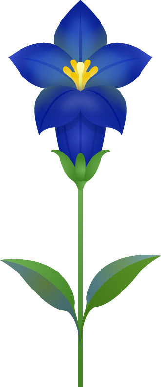 【商用フリー・無料イラスト】秋の綺麗な花リンドウ（竜胆・りんどう）のかわいいイラスト02