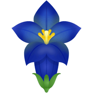 【商用フリー・無料イラスト】秋の綺麗な花リンドウ（竜胆・りんどう）のかわいいイラスト03