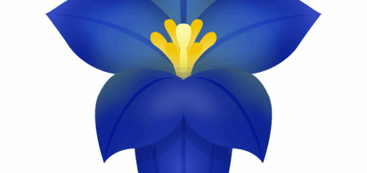 【商用フリー・無料イラスト】秋の綺麗な花リンドウ（竜胆・りんどう）のかわいいイラスト03