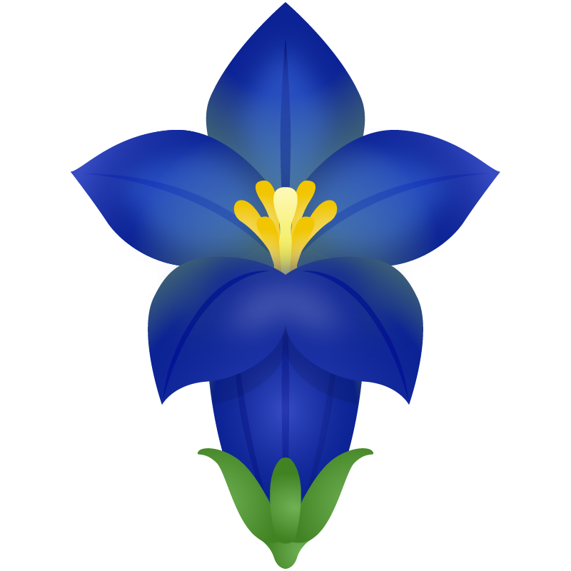 【商用フリー・無料イラスト】秋の綺麗な花リンドウ(竜胆・りんどう)のかわいいイラスト03